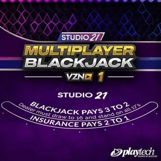 Studio 21 VZN Blackjack 1 by Playtech - blackjack table