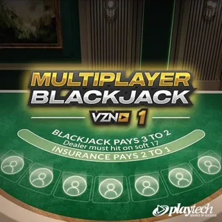 VZN Blackjack 1 by Playtech - blackjack table